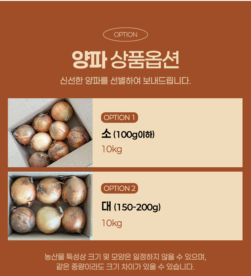 [산지직송] 김해 양파 (소/대) 10kg