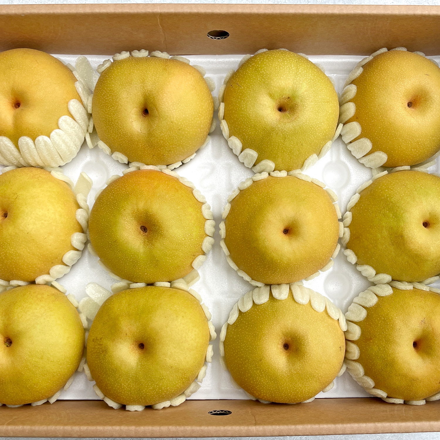 배의 왕 창조배 1박스(7.5KG)11~12과