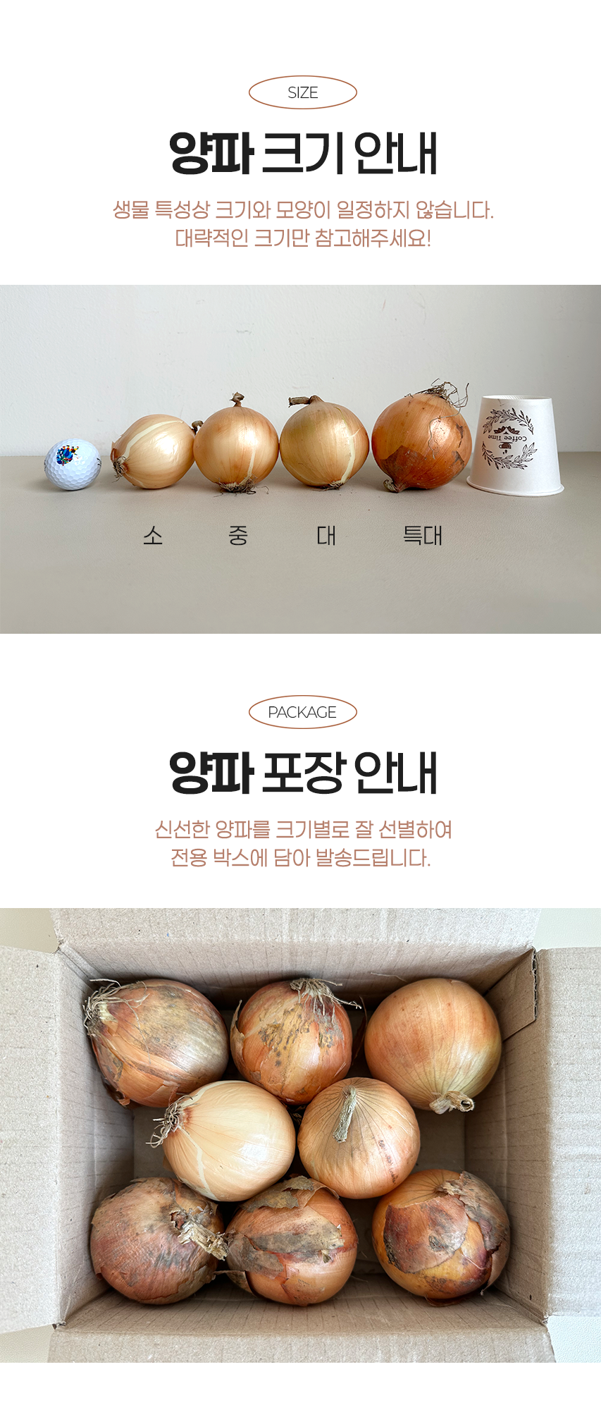 [산지직송] 김해 양파 (소/대) 10kg