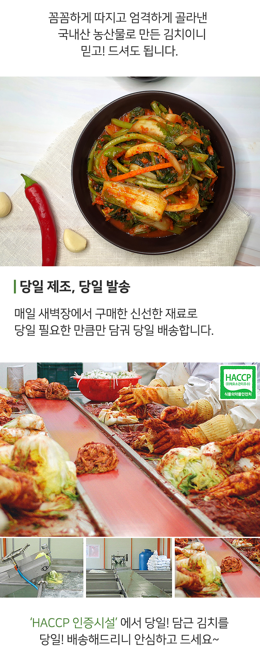 [산지직송] 남도향 국산 원료로 만든 열무얼갈이김치 3kg / 5kg