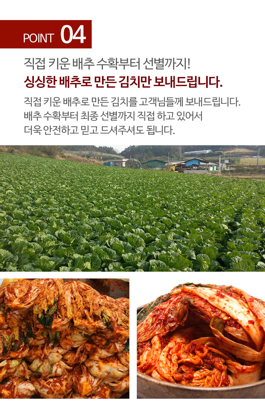 [산지직송] 100%국내산 전라도 동치미 5kg / 10kg