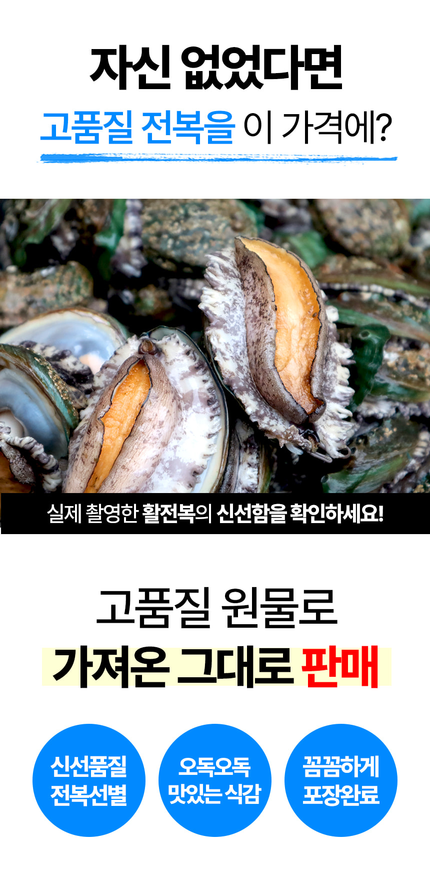 [산지직송] 당일조업 산소포장 완도 활 전복 1kg (특상 7~8미)