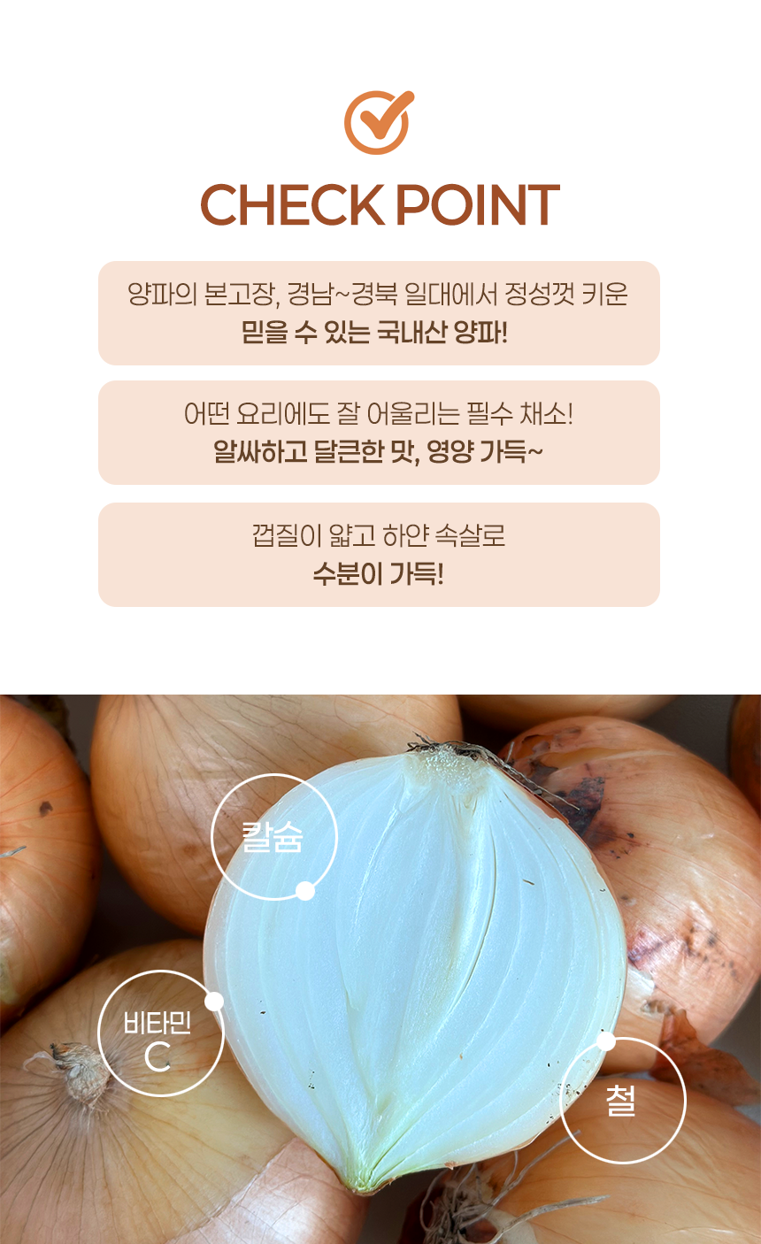 [산지직송] 김해 양파 (소/대) 10kg