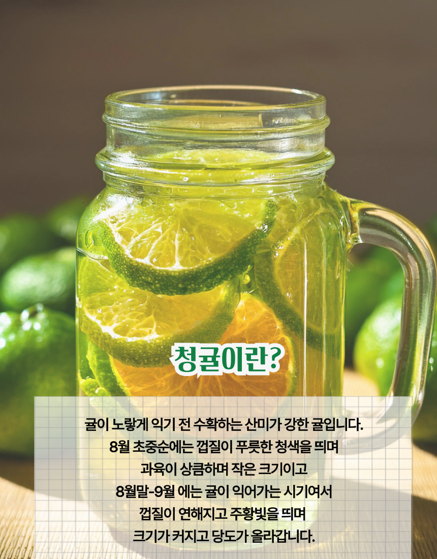 [산지직송] 청정제주 청귤 5kg 10kg 로얄과