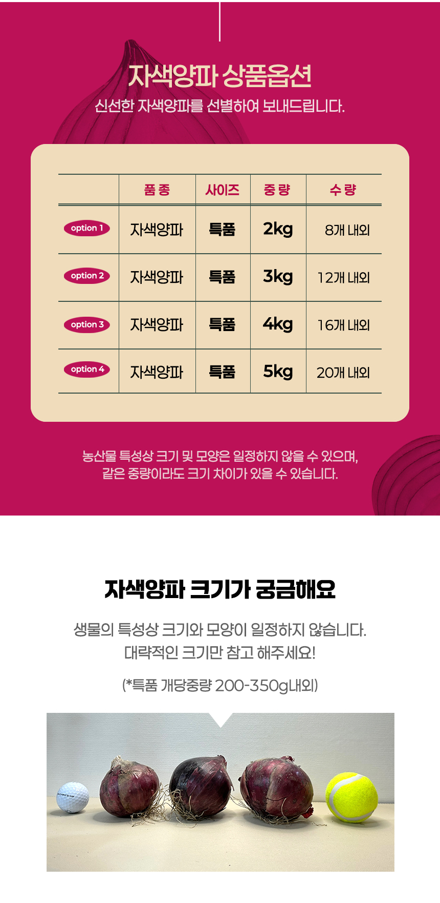 [산지직송] 경남 창녕 26년 햇 자색양파 특품 5kg