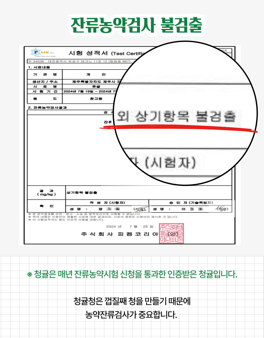 [산지직송] 청정제주 청귤 5kg 10kg 로얄과