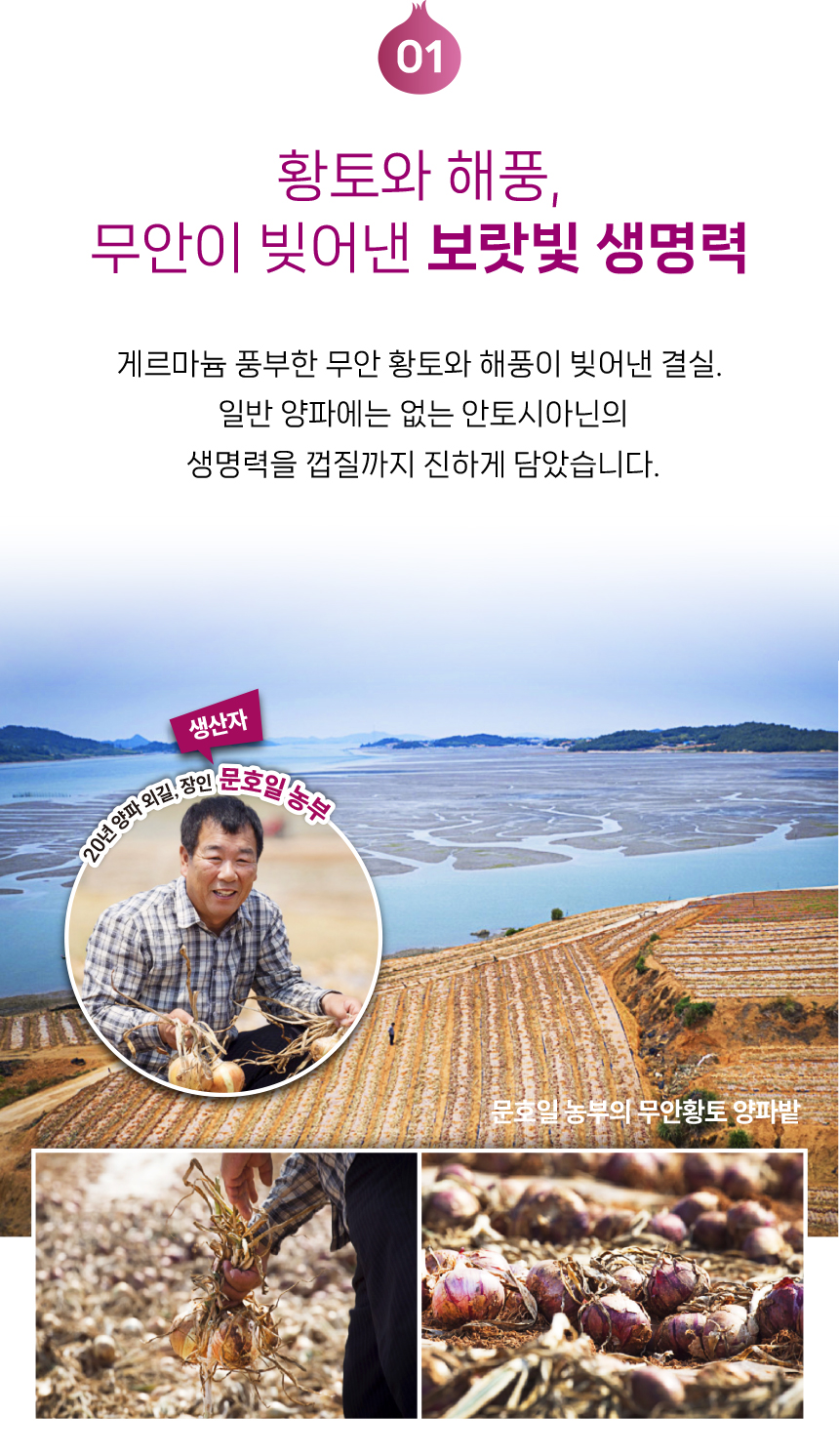 [산지직송] 나주배원예농협 국산100% 자색양파즙 120mlx30포