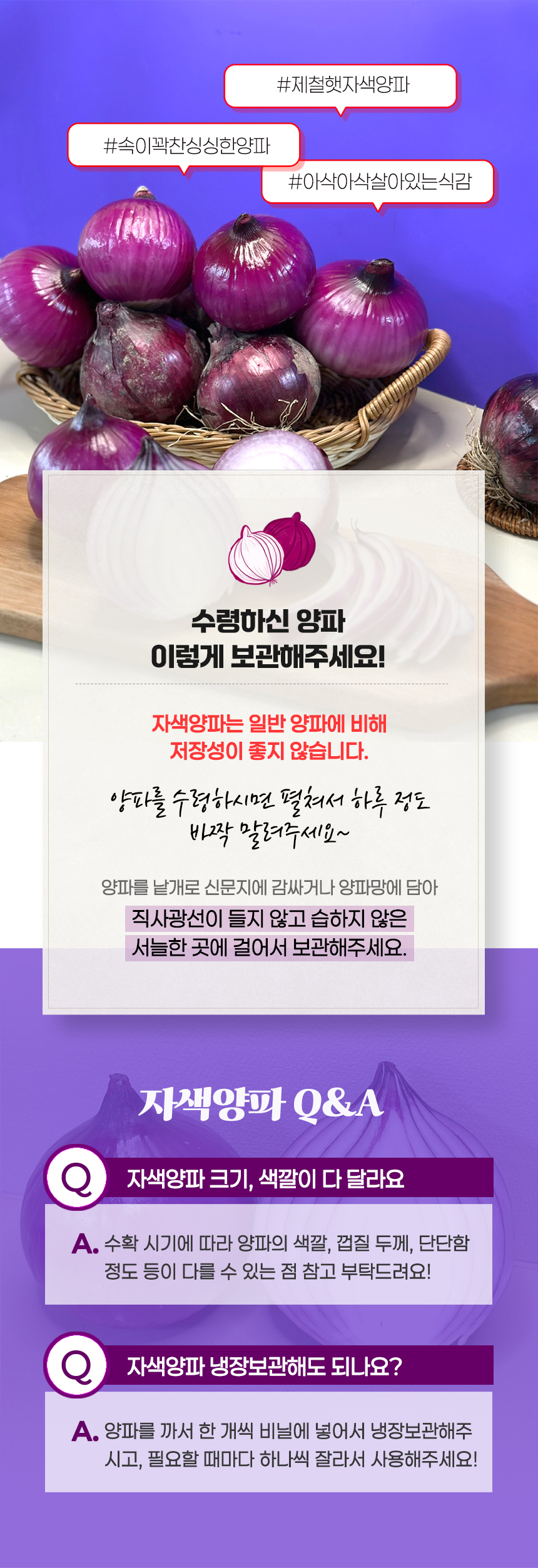 [산지직송] 경남 창녕 26년 햇 자색양파 특품 5kg