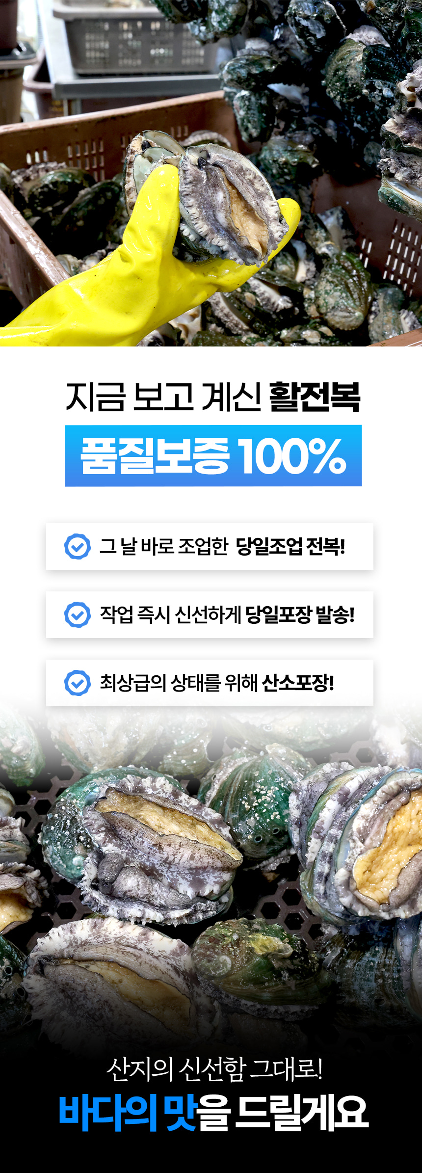 [산지직송] 당일조업 산소포장 완도 활 전복 1kg (특상 7~8미)