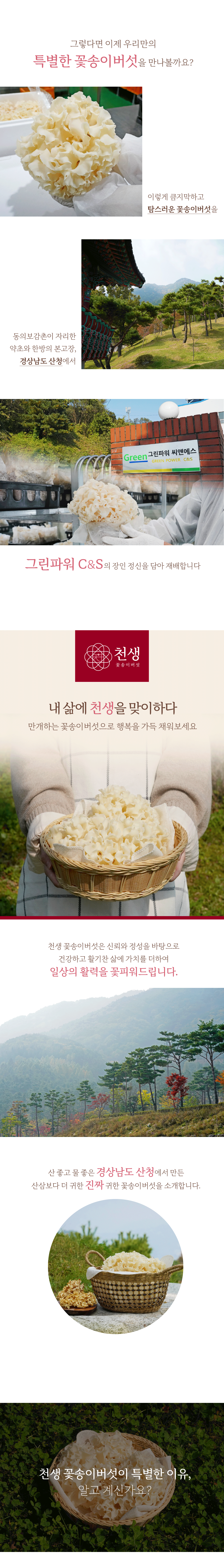[산지직송] 경남 산청 천생 꽃송이버섯 분말 선물세트 (100g x 2ea)