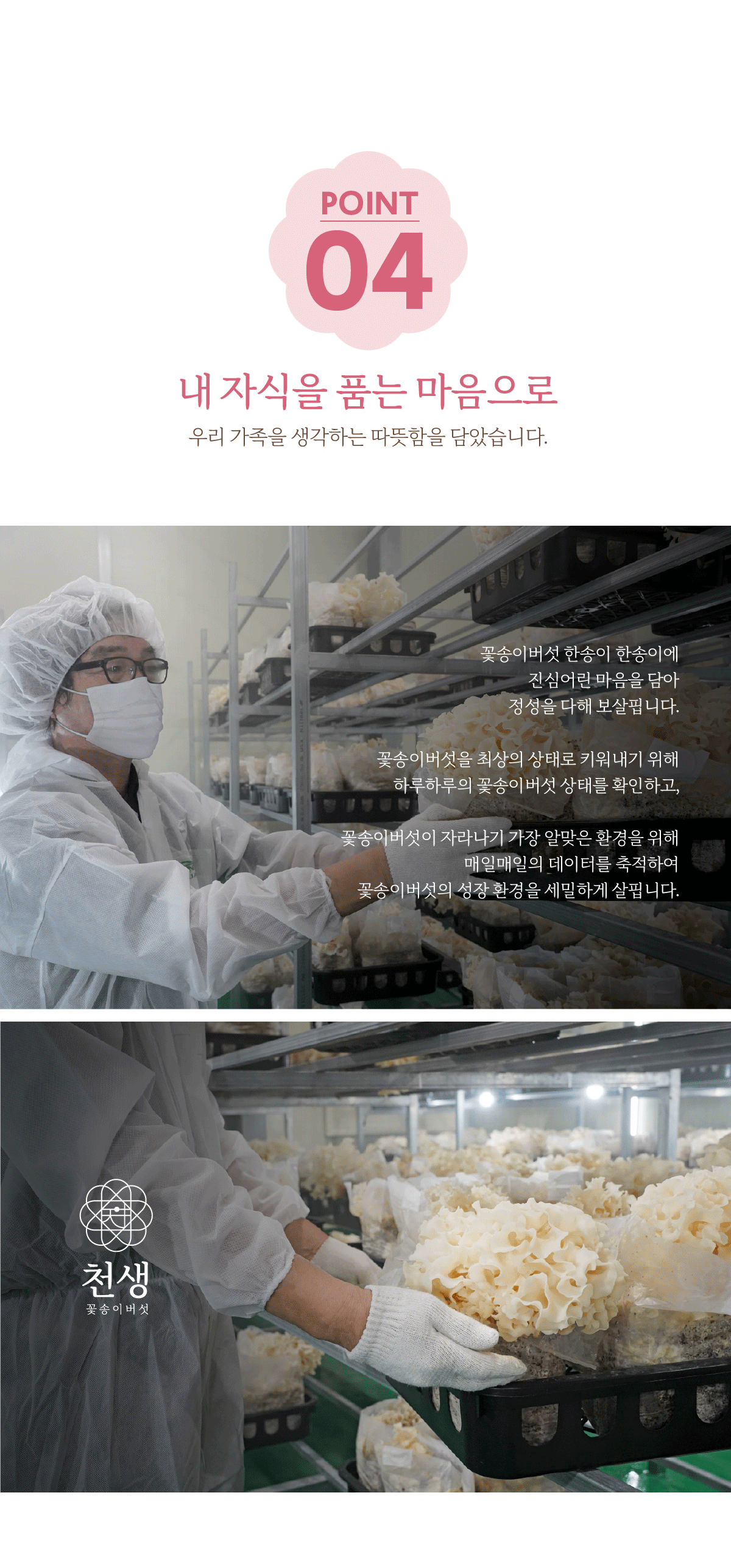 [산지직송] 경남 산청 베타글루칸 친환경 무농약 천생 생꽃송이버섯 500g / 1kg