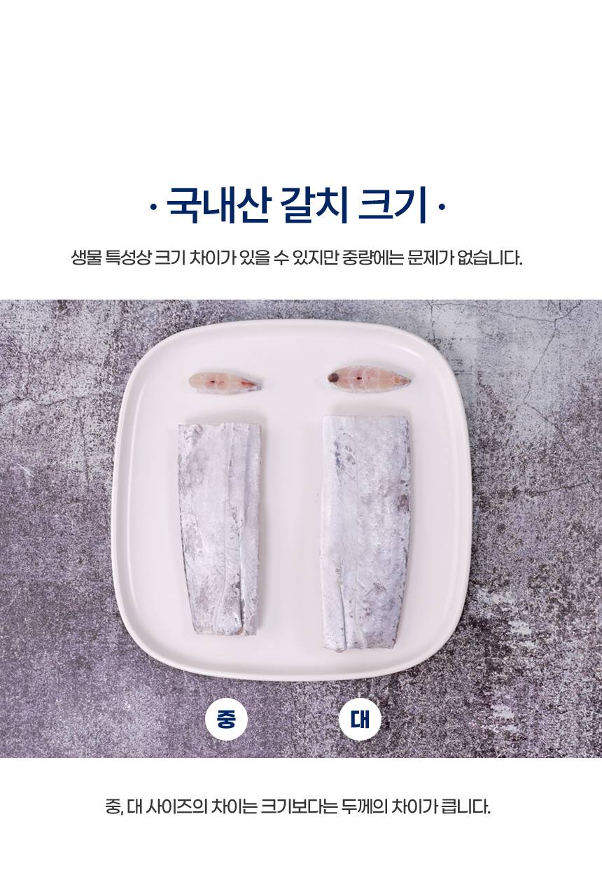 [산지직송]제주 선동갈치 선물세트