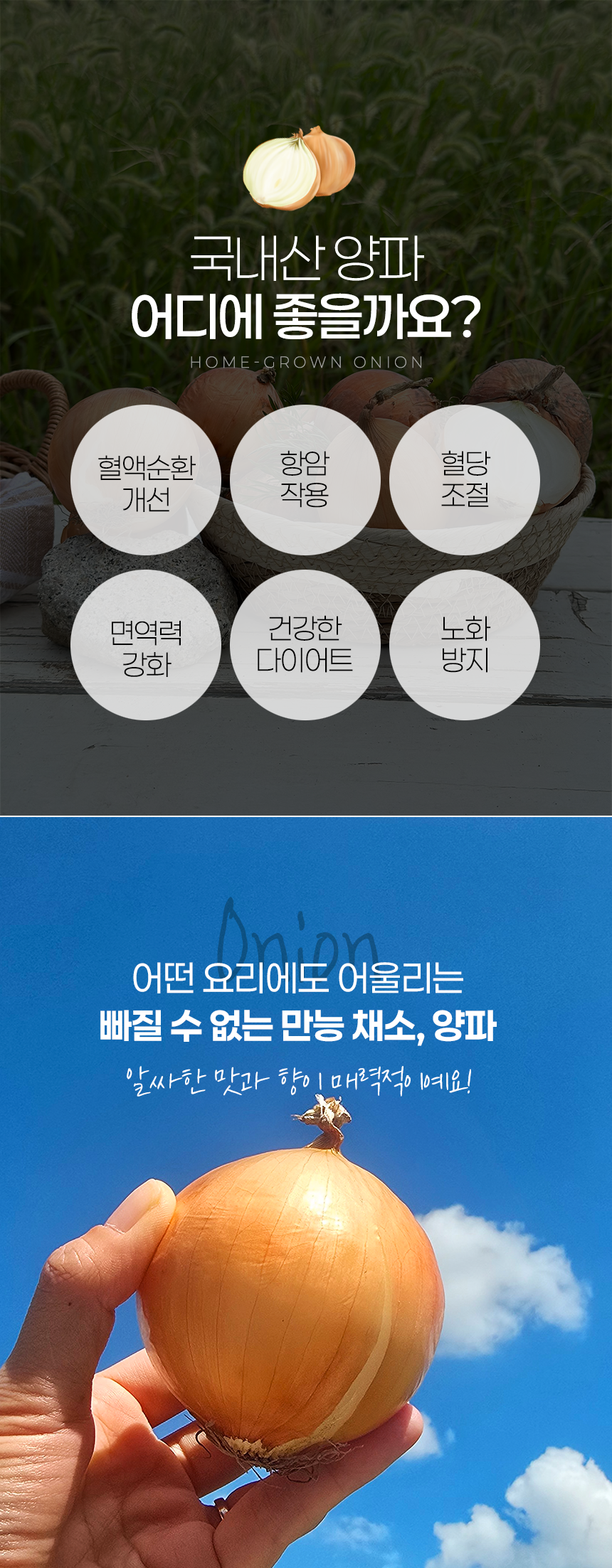 [산지직송] 김해 양파 (소/대) 10kg
