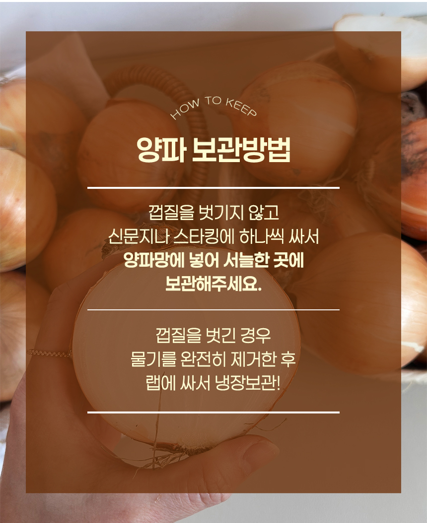 [산지직송] 김해 양파 (소/대) 10kg