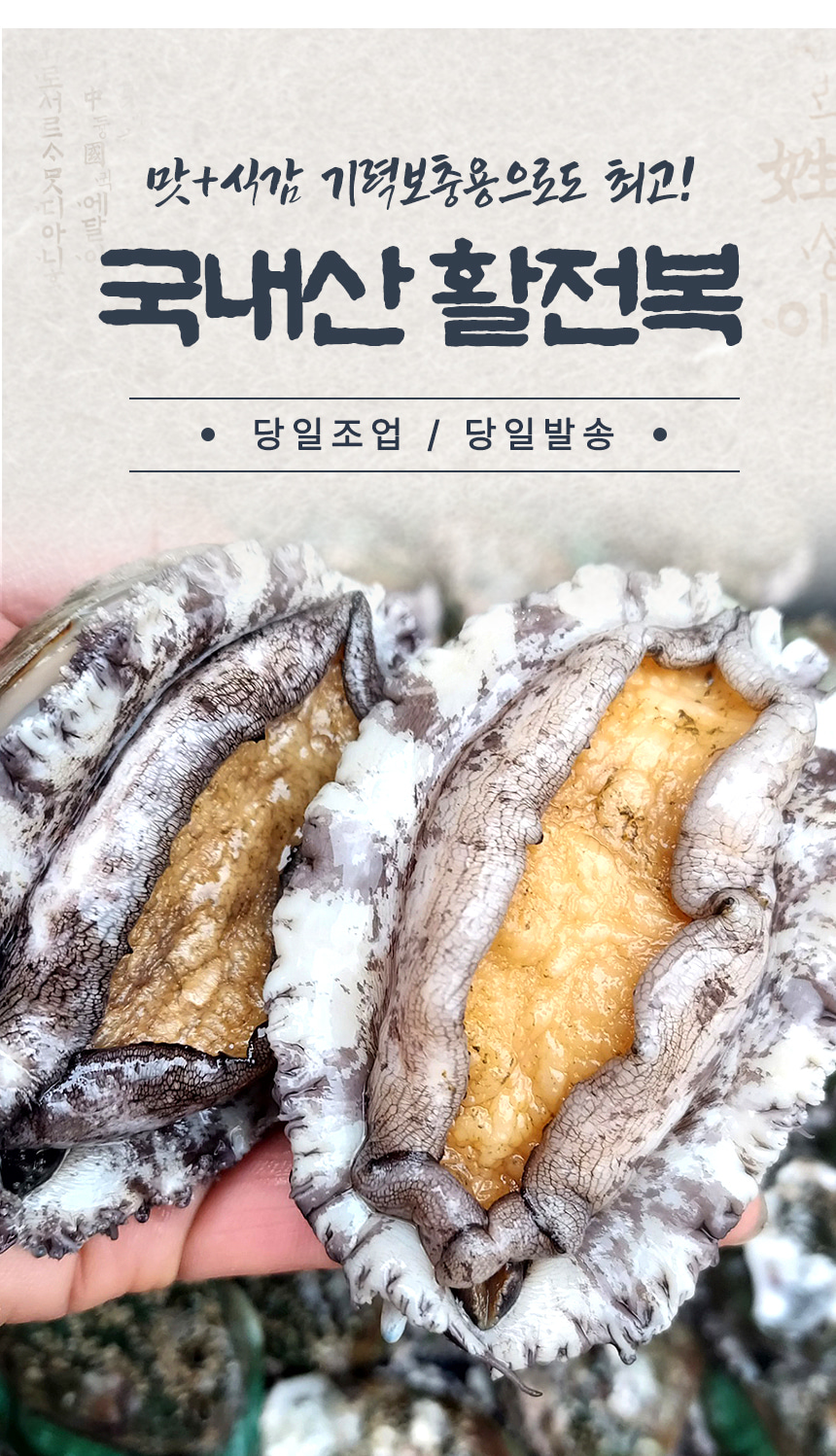 [산지직송] 당일조업 산소포장 완도 활 전복 1kg (특상 7~8미)
