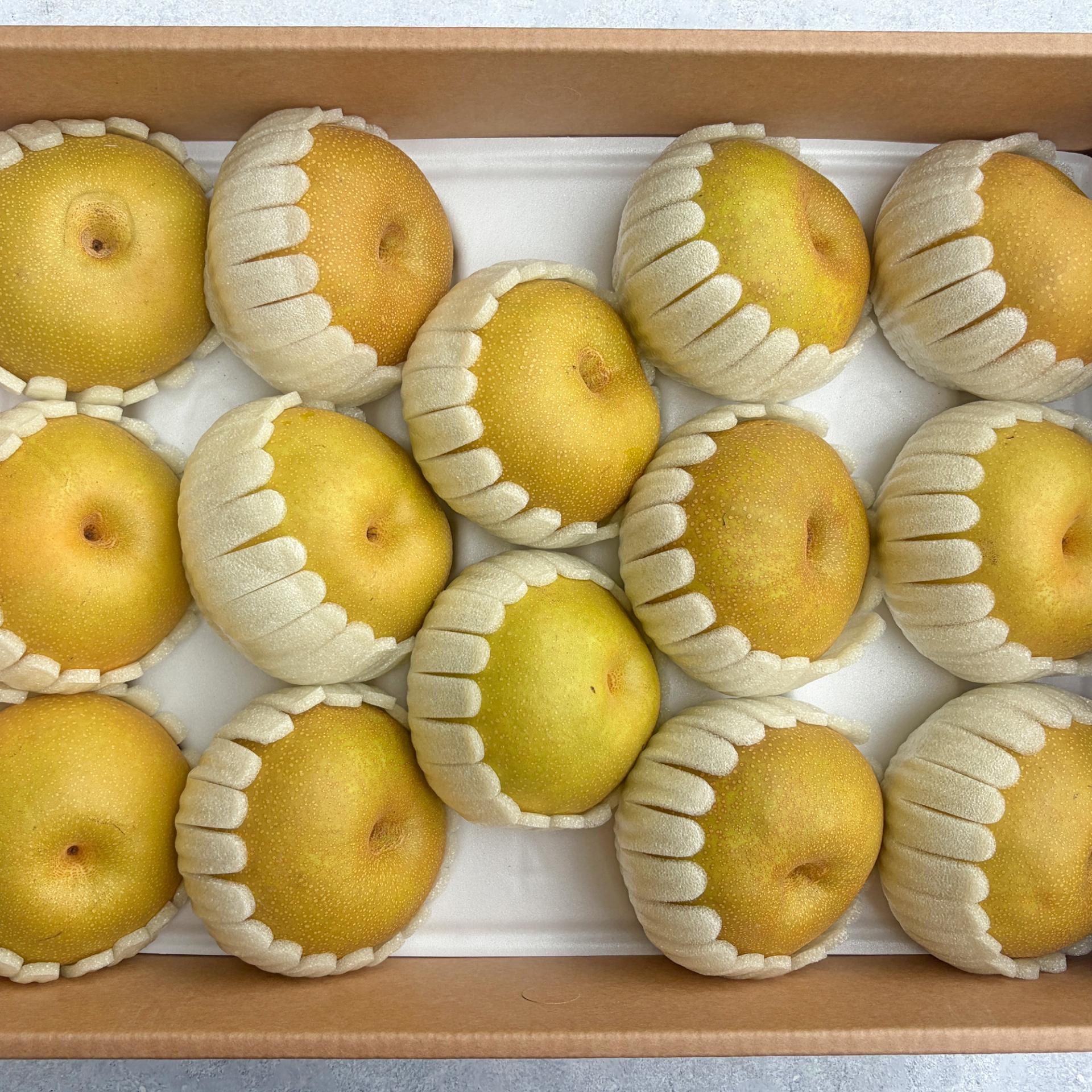 배의 왕 창조배 1박스(7.5KG)13~15과