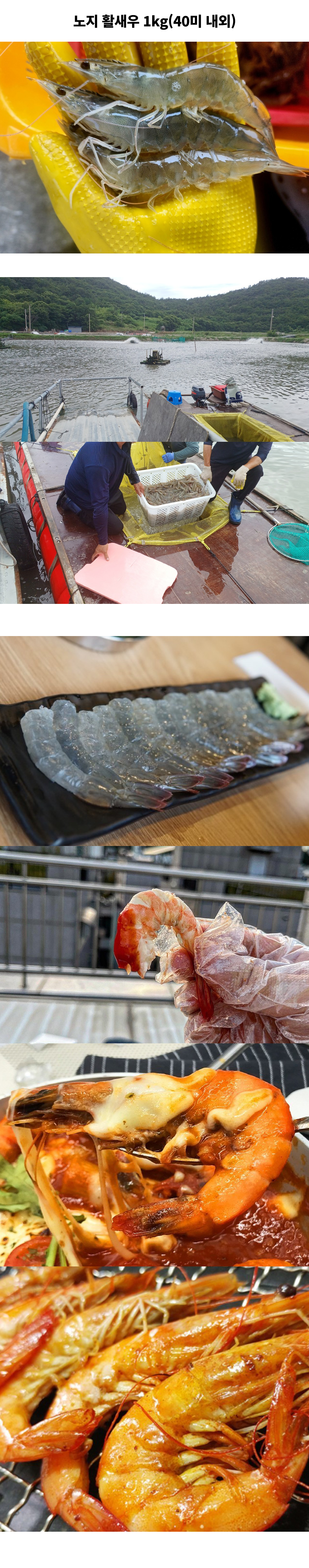 [산지직송]노지 활새우 1kg (40미내외)