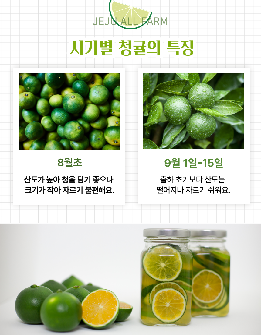 [산지직송] 청정제주 청귤 5kg 10kg 로얄과