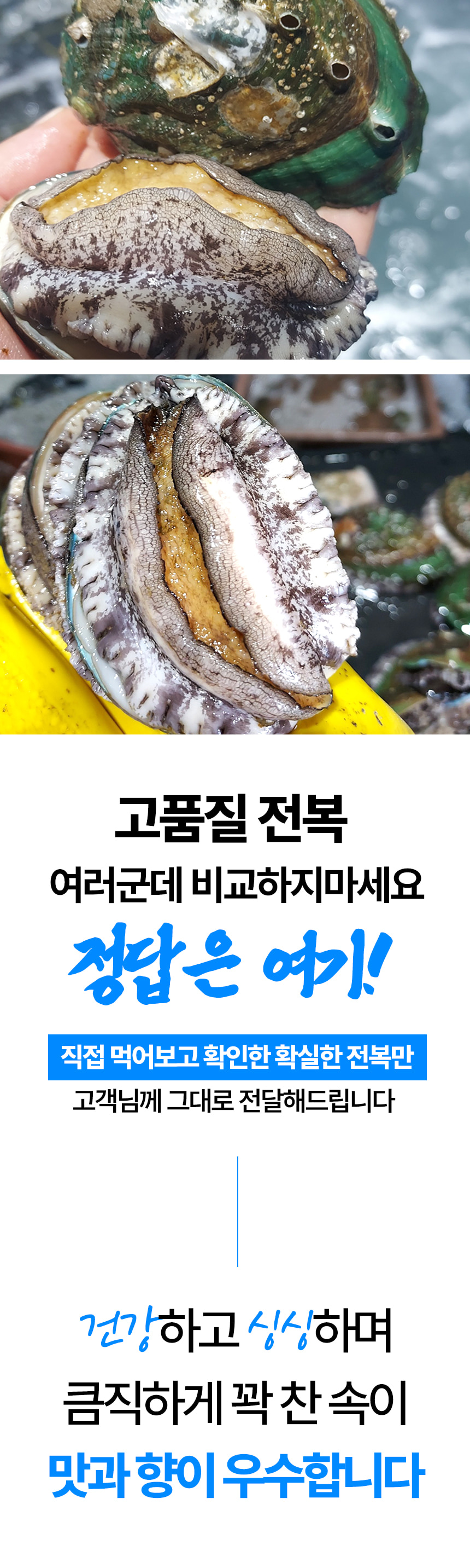 [산지직송] 당일조업 산소포장 완도 활 전복 1kg (특상 7~8미)