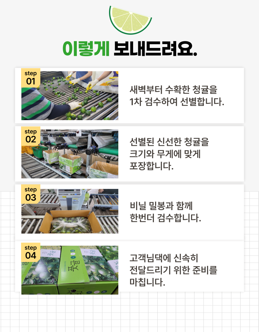[산지직송] 청정제주 청귤 5kg 10kg 로얄과