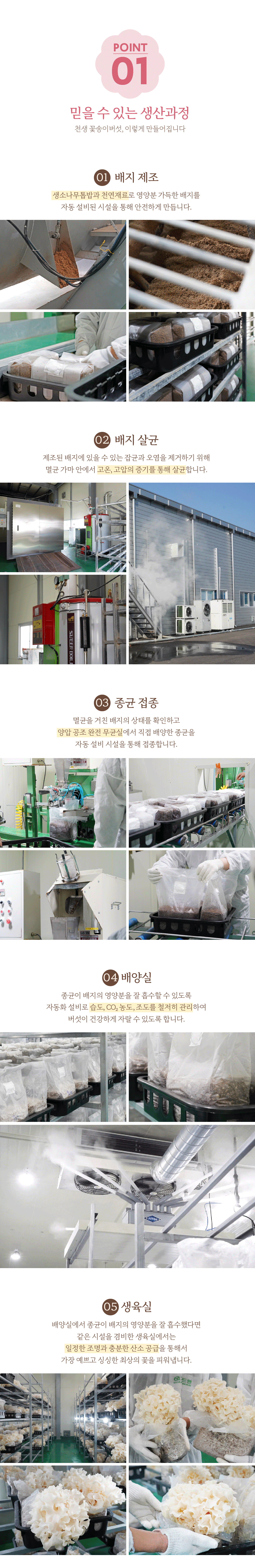 [산지직송] 경남 산청 베타글루칸 친환경 무농약 천생 생꽃송이버섯 500g / 1kg