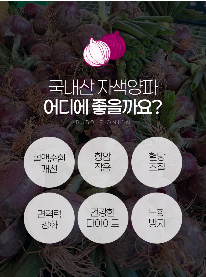[산지직송] 경남 창녕 26년 햇 자색양파 특품 5kg