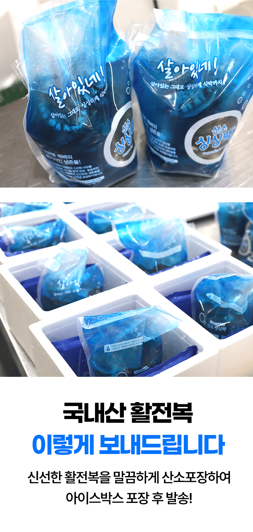 [산지직송] 당일조업 산소포장 완도 활 전복 1kg (특상 7~8미)