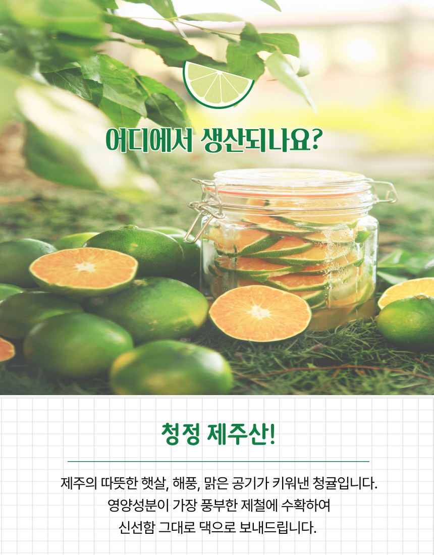 [산지직송] 청정제주 청귤 5kg 10kg 로얄과