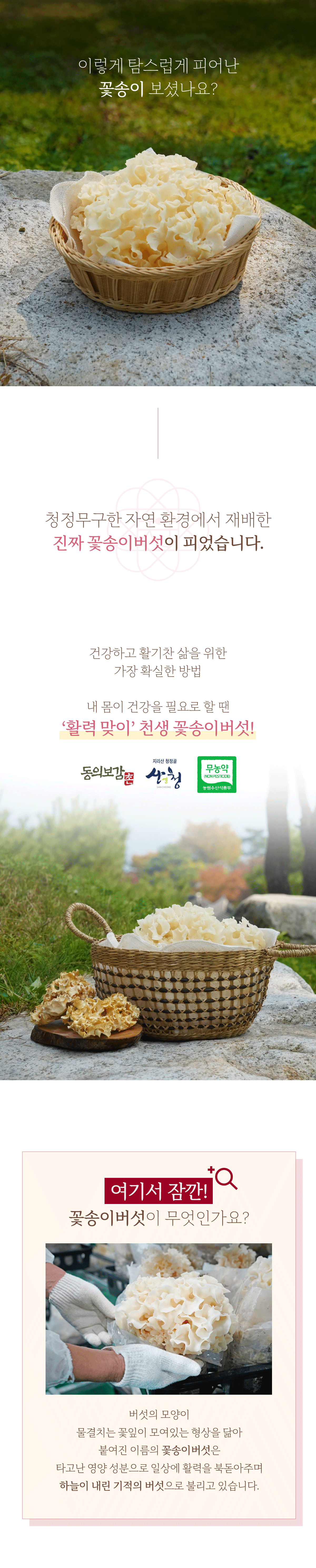 [산지직송] 경남 산청 베타글루칸 친환경 무농약 천생 생꽃송이버섯 500g / 1kg