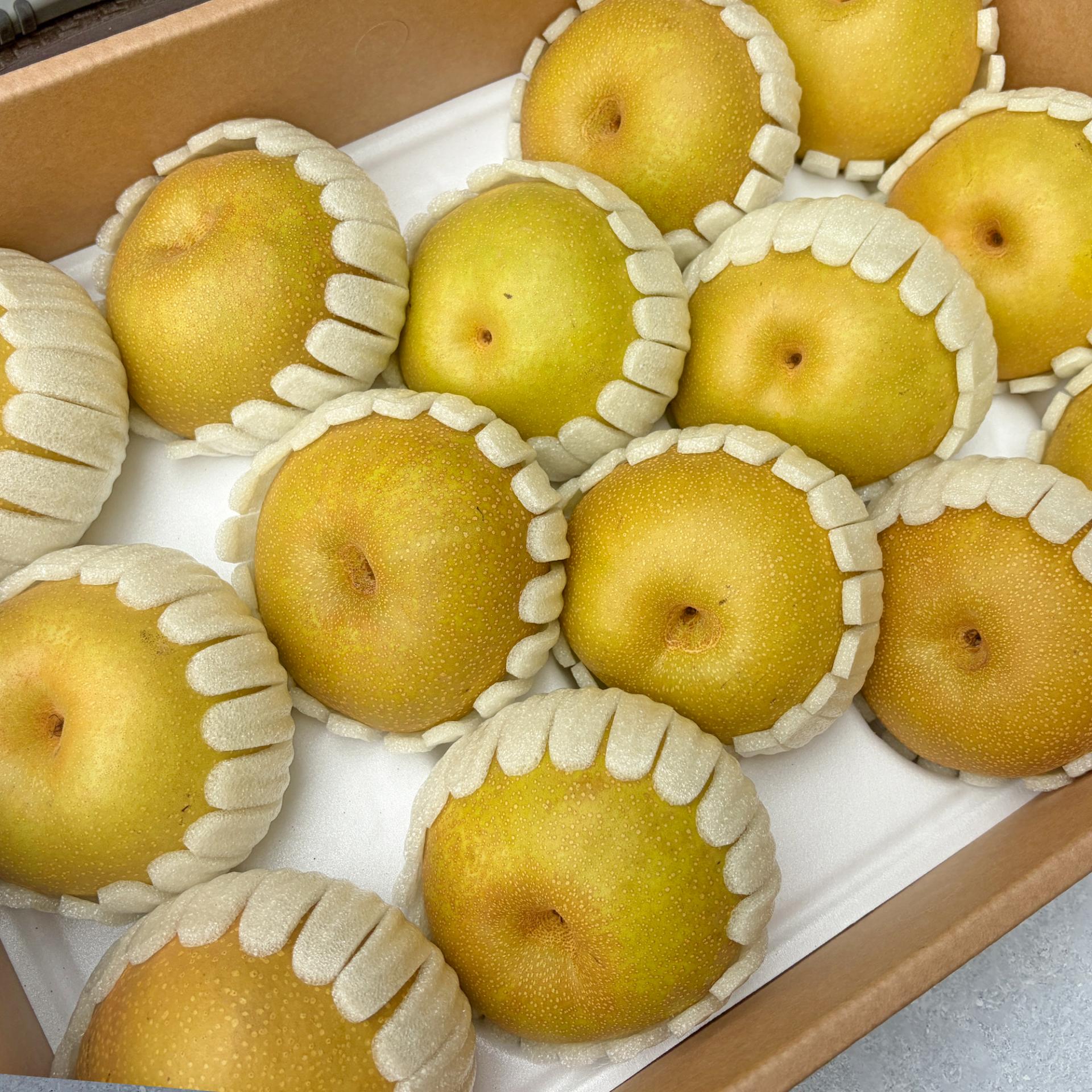 배의 왕 창조배 1박스(7.5KG)13~15과