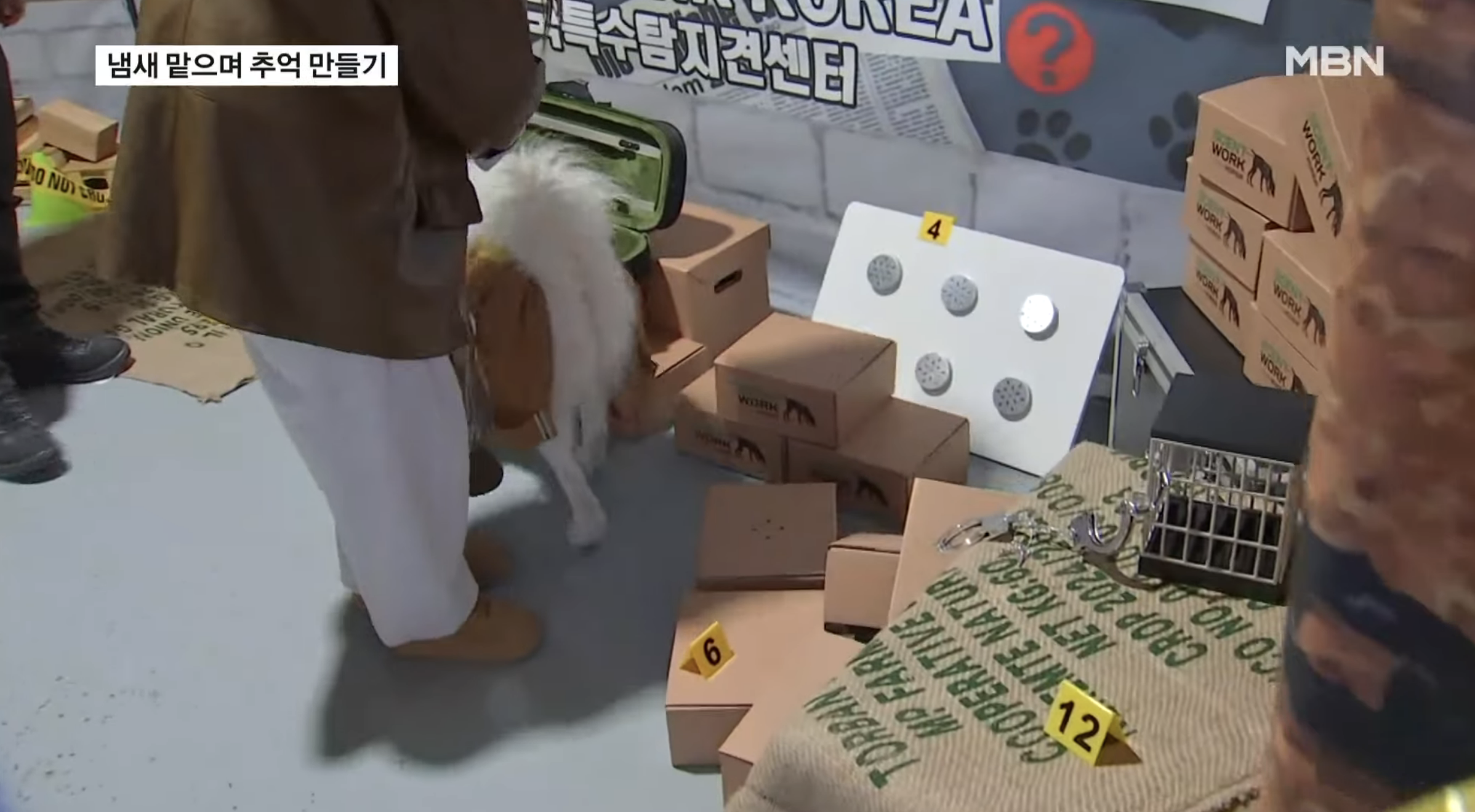 모들 [퀘스트리뉴얼] 강아지방탈출 센트워크 탐정놀이 <강아지 방탈출 탐정의 초대>