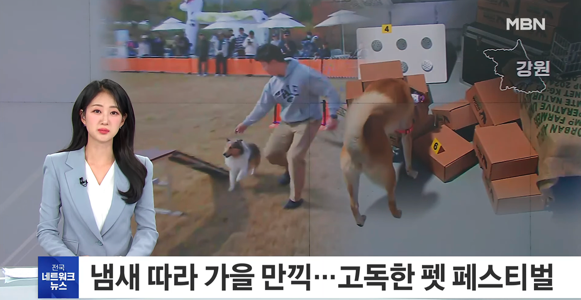 모들 [퀘스트리뉴얼] 강아지방탈출 센트워크 탐정놀이 <강아지 방탈출 탐정의 초대>