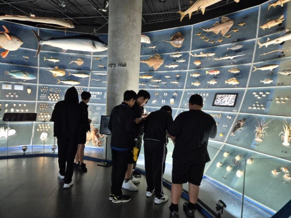 로스트 게임을 하는 청소년의 뒷모습