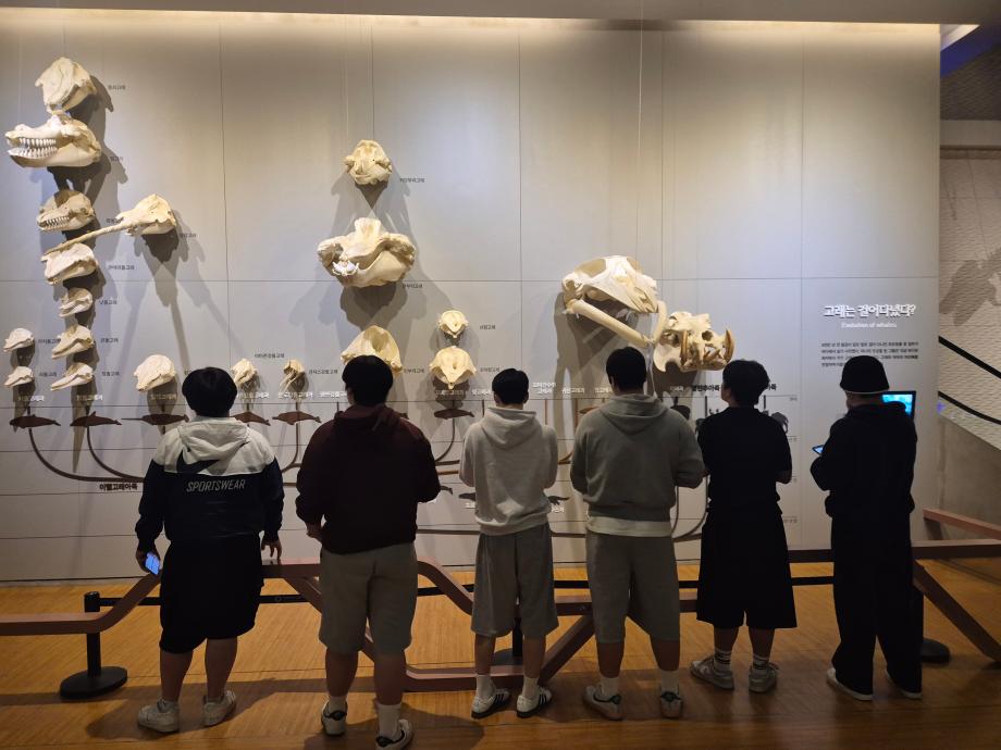 로스트 게임을 하는 청소년의 뒷모습