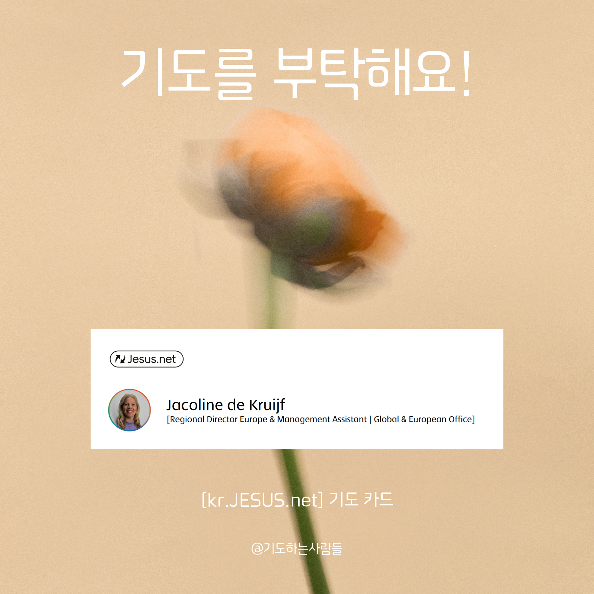 42f5fef717a01.png