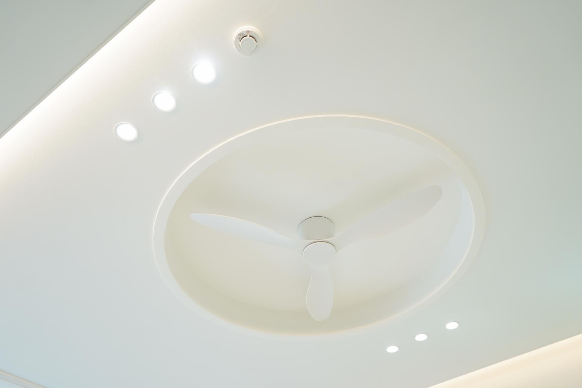 d50a65f7f8f55.jpg