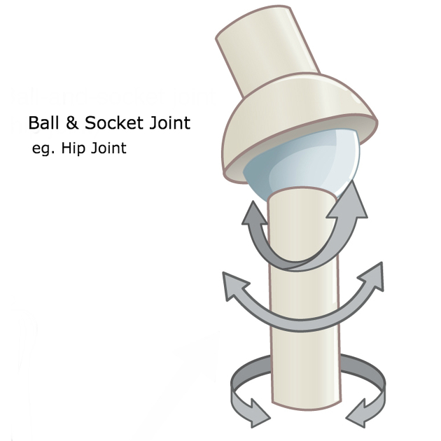 3d45d7432affd.png
