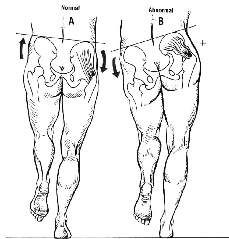 d07a11ea4299d.png