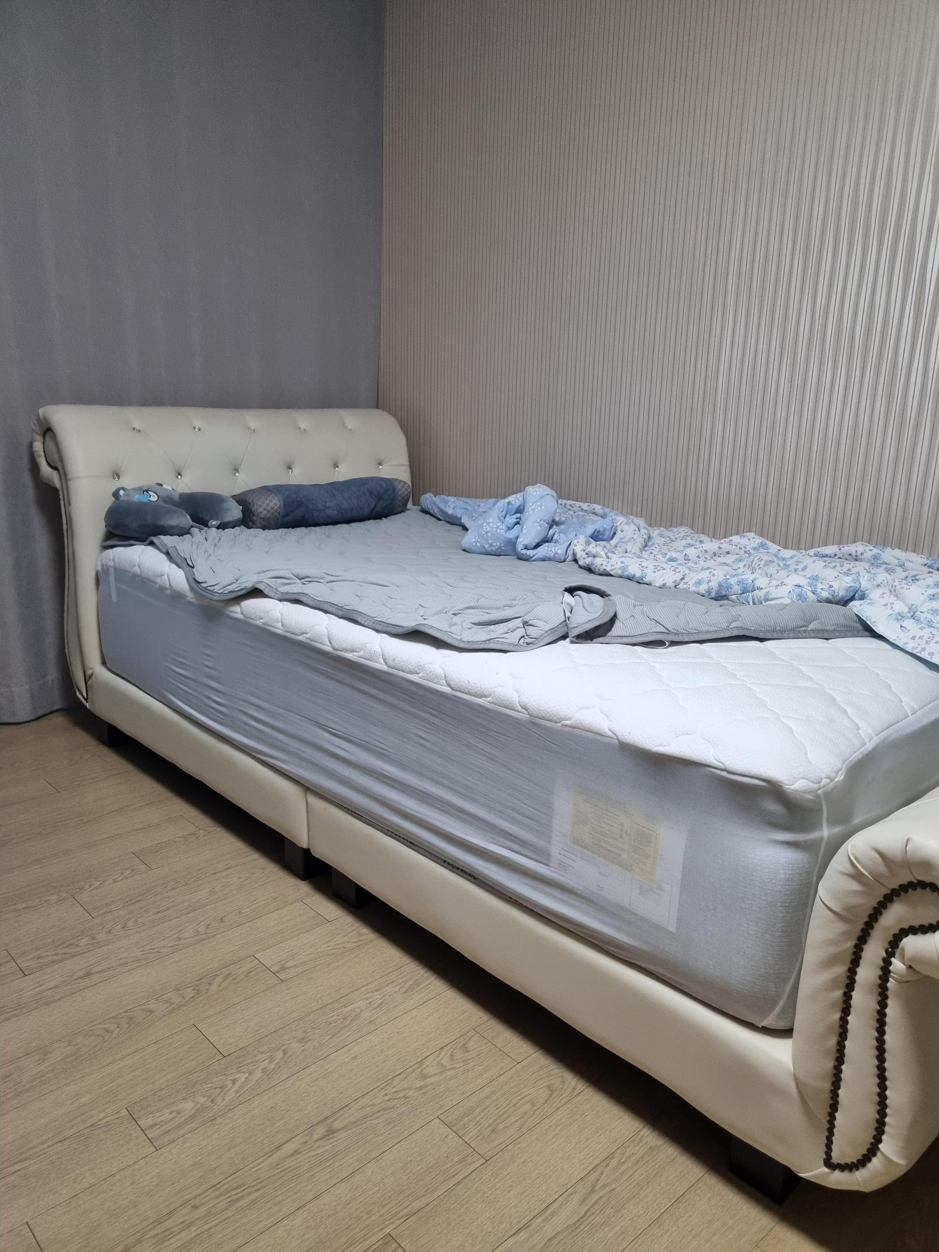 e5463242ff673.jpg
