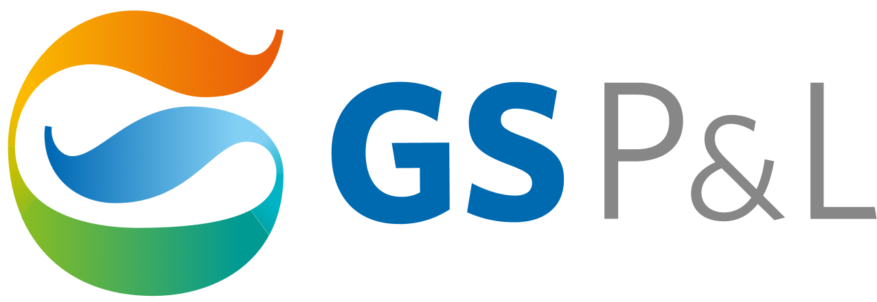 GS P&L