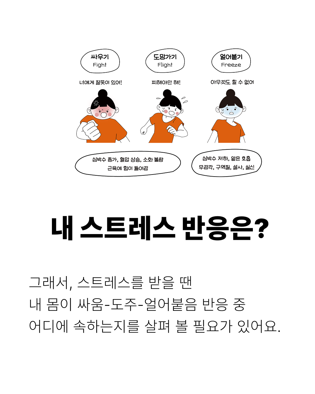 8445088ba798a.png