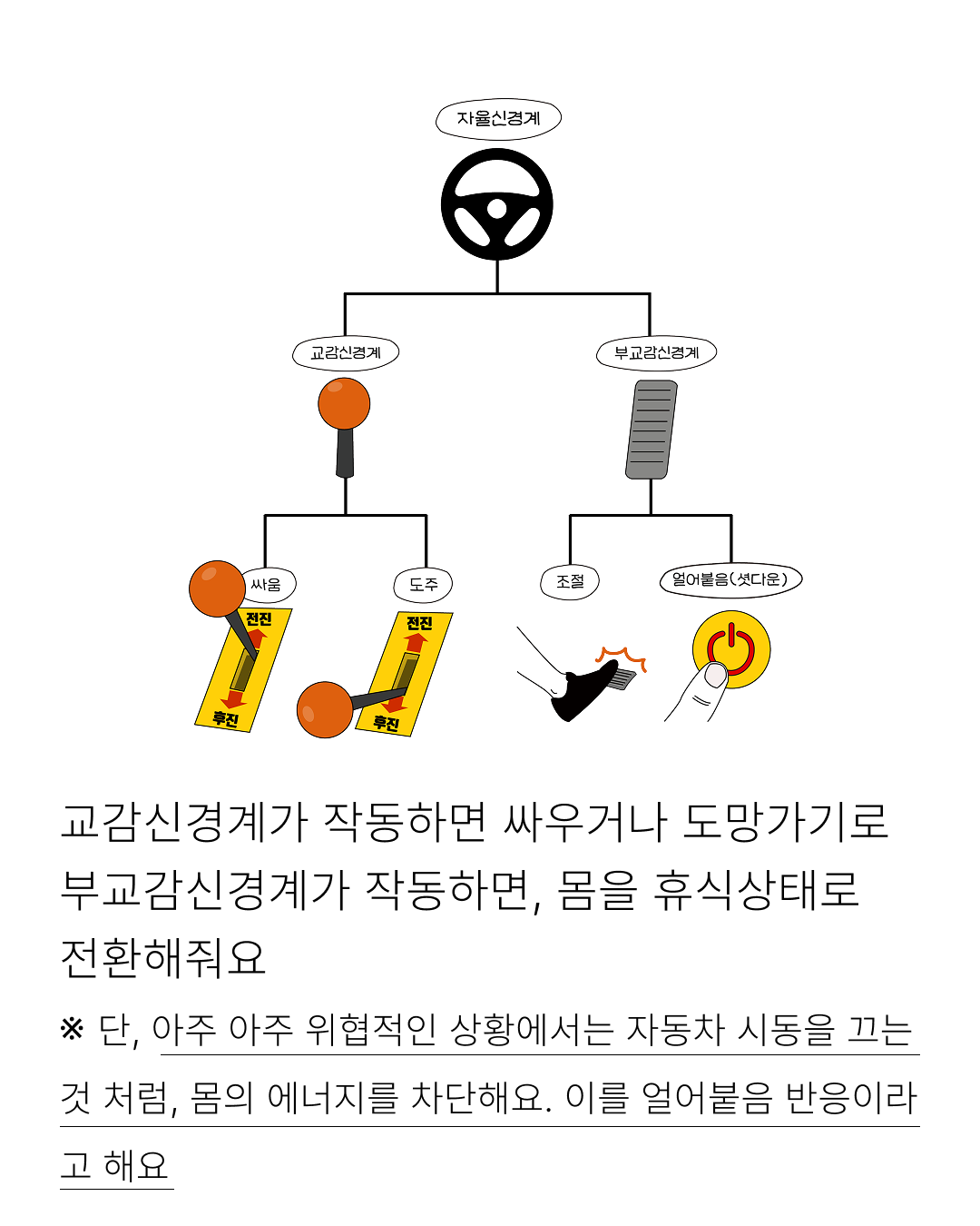 c3583d69977a3.png