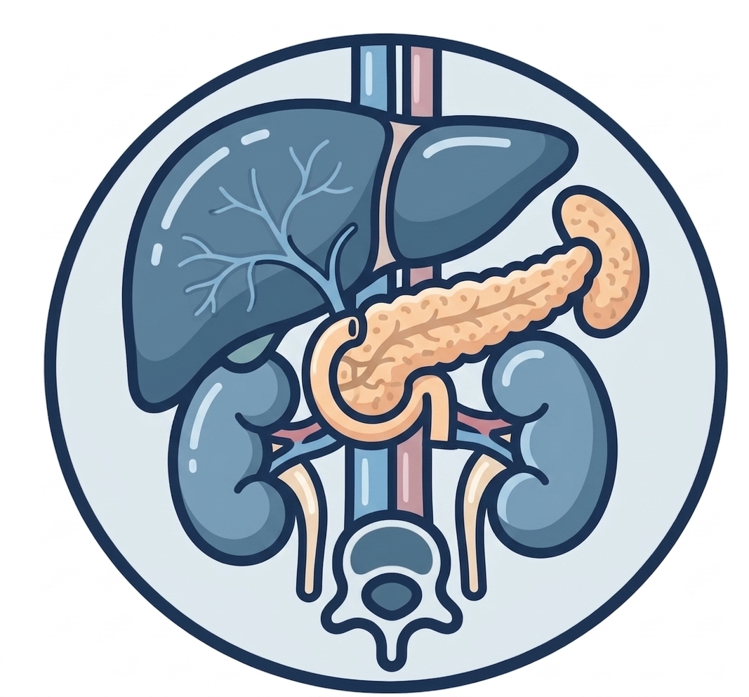 복부 MRI