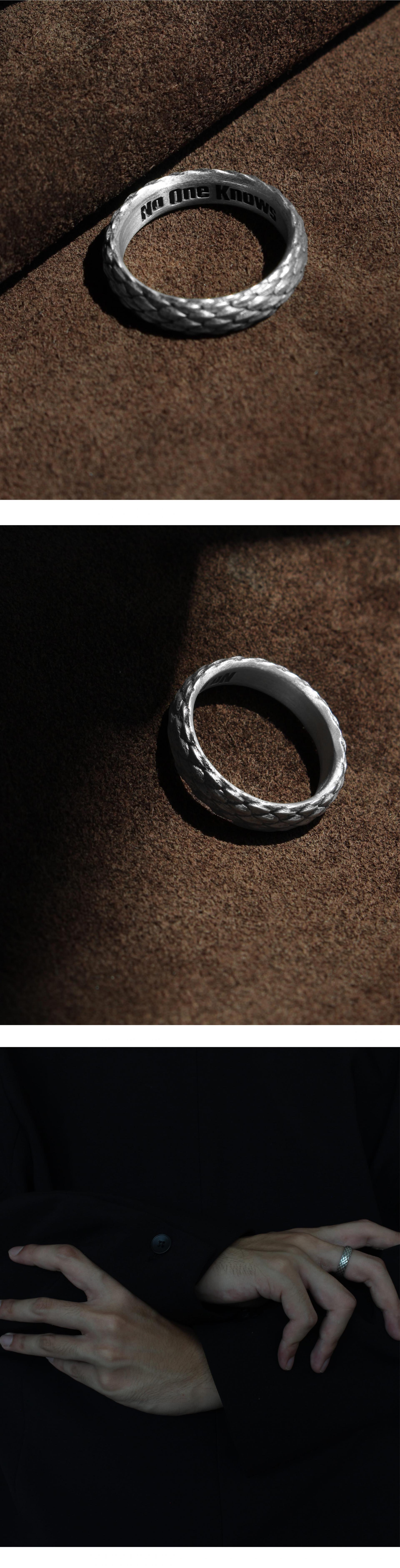 Ring of Ouroboros