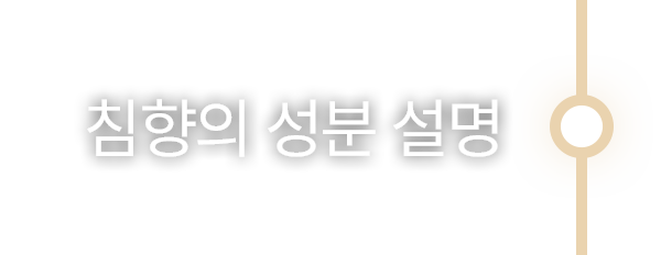 배너3