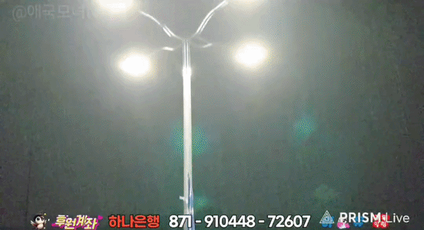 6d4b91b923efe.gif