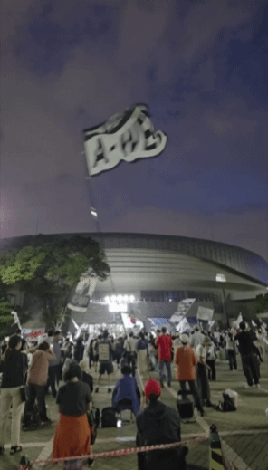 950a54fd66d3d.gif