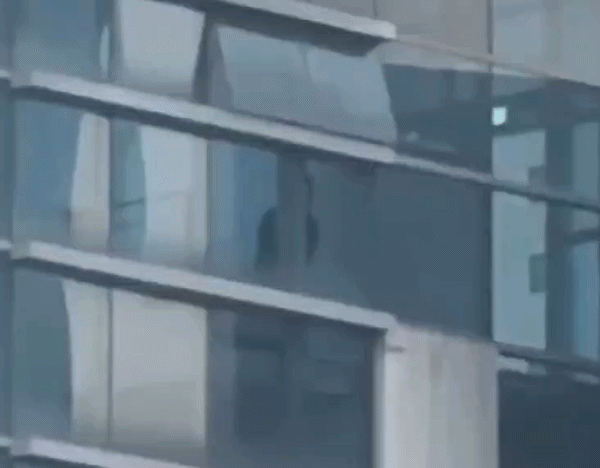 bdd77afadb22f.gif