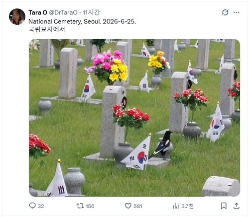 c80995c0290d9.jpg