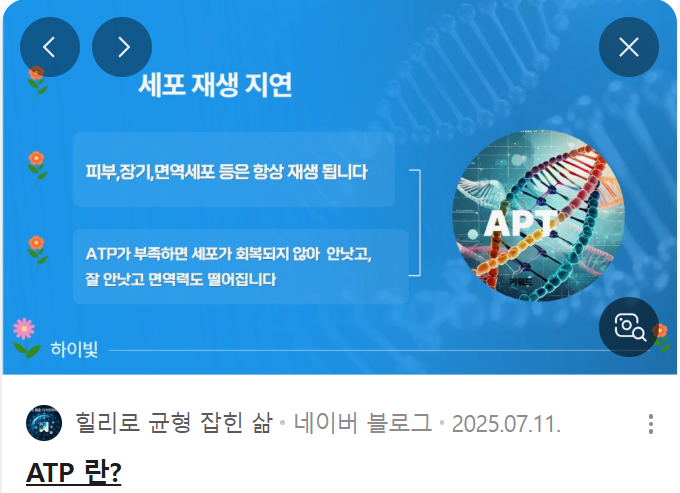 09844cd97a494.png